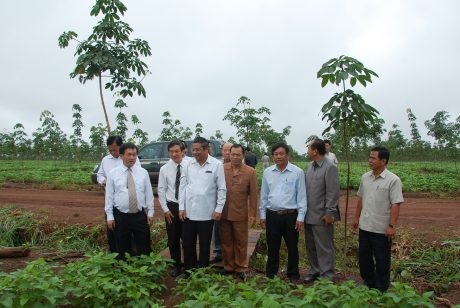 35 năm hành trình gian khó và vinh quang